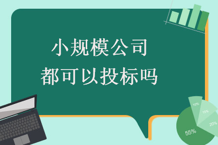 小規(guī)模公司都可以投標嗎