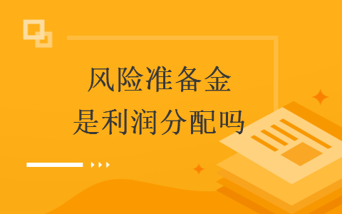 風險準備金是利潤分配嗎