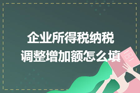 企業(yè)所得稅納稅調(diào)整增加額怎么填