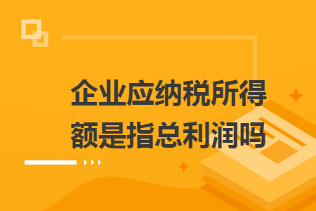 企業(yè)應(yīng)納稅所得額是指總利潤嗎