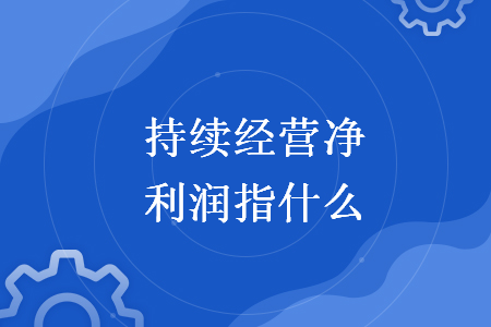 持續(xù)經(jīng)營凈利潤指什么