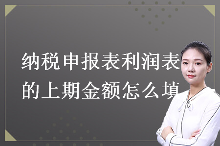 納稅申報(bào)表利潤(rùn)表的上期金額怎么填