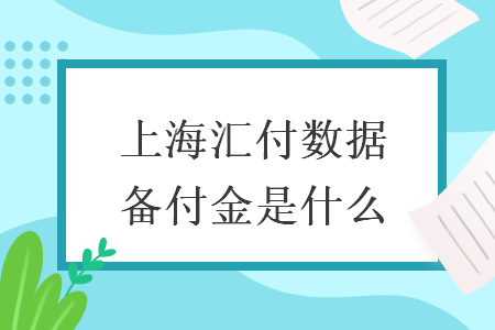 上海匯付數(shù)據(jù)備付金是什么