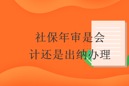 社保年審是會(huì)計(jì)還是出納辦理