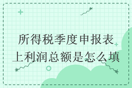 所得稅季度申報表上利潤總額是怎么填
