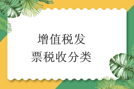 增值稅發(fā)票稅收分類