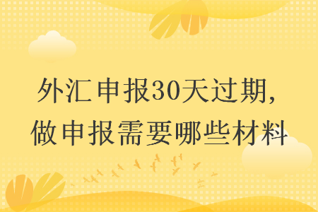 外匯申報(bào)30天過期,做申報(bào)需要哪些材料