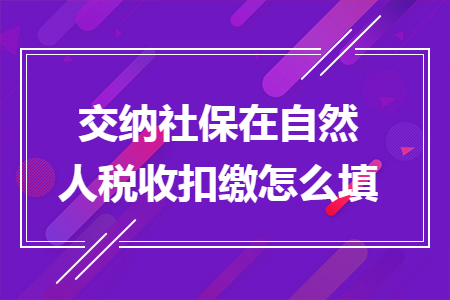 交納社保在自然人稅收扣繳怎么填
