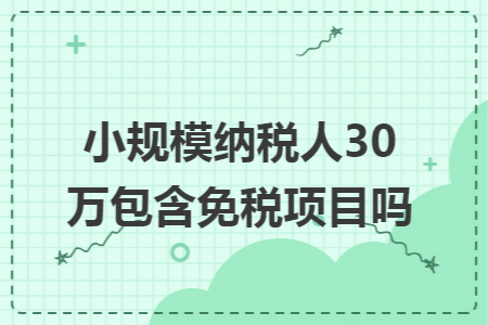 小規(guī)模納稅人30萬包含免稅項目嗎