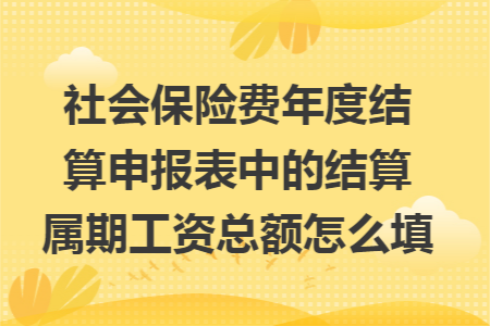 社會(huì)保險(xiǎn)費(fèi)年度結(jié)算申報(bào)表中的結(jié)算屬期工資總額怎么填