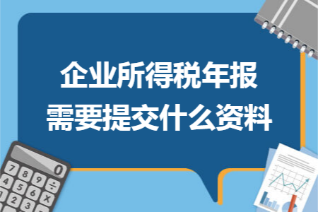 企業(yè)所得稅年報(bào)需要提交什么資料