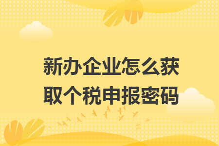 新辦企業(yè)怎么獲取個(gè)稅申報(bào)密碼