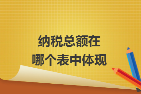 納稅總額在哪個表中體現(xiàn)