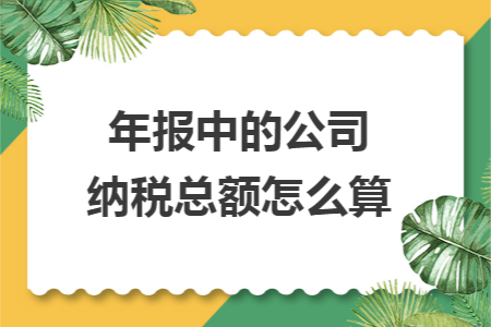 年報中的公司納稅總額怎么算