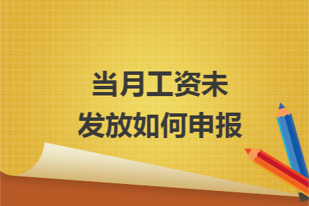 當(dāng)月工資未發(fā)放如何申報(bào)