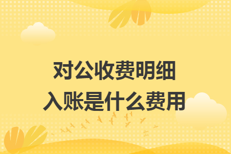對公收費明細入賬是什么費用