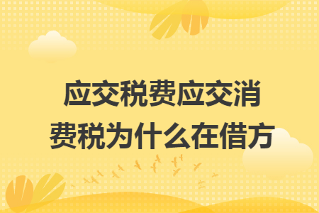 應(yīng)交稅費(fèi)應(yīng)交消費(fèi)稅為什么在借方
