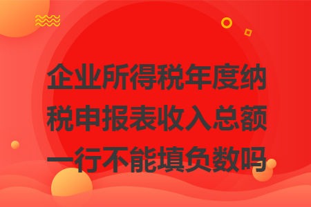 企業(yè)所得稅年度納稅申報表收入總額一行不能填負(fù)數(shù)嗎