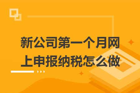 新公司第一個月網(wǎng)上申報納稅怎么做