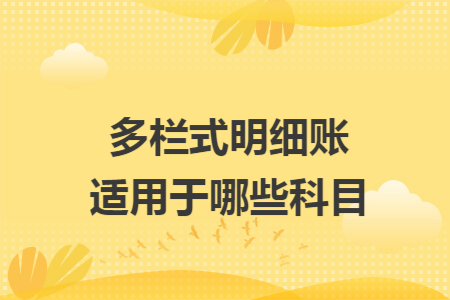 多欄式明細(xì)賬適用于哪些科目