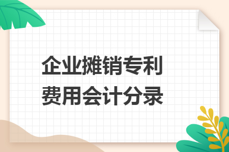 企業(yè)攤銷專利費(fèi)用會(huì)計(jì)分錄