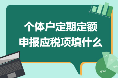 個(gè)體戶定期定額申報(bào)應(yīng)稅項(xiàng)填什么
