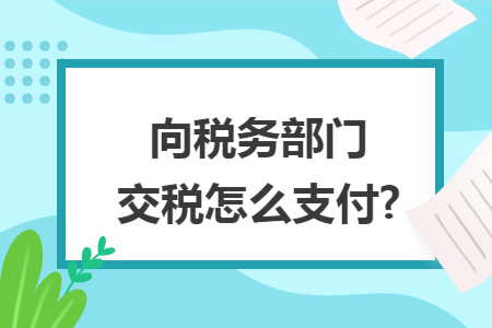 向稅務部門交稅怎么支付?