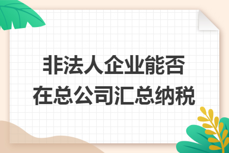非法人企業(yè)能否在總公司匯總納稅