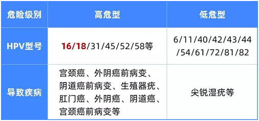 國產(chǎn)HPV疫苗