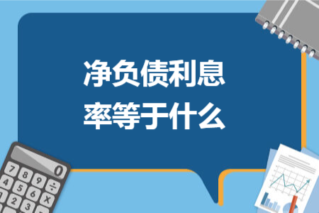 凈負(fù)債利息率等于什么