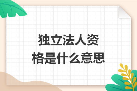 獨(dú)立法人資格是什么意思