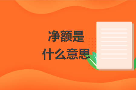 凈額是什么意思