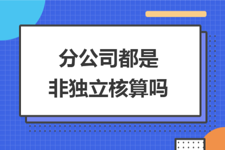 分公司都是非獨立核算嗎