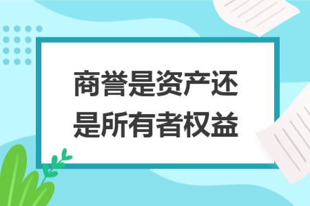 商譽(yù)是資產(chǎn)還是所有者權(quán)益