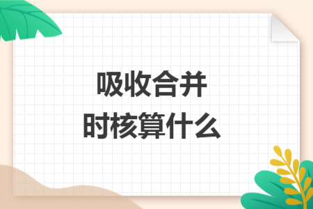 吸收合并時(shí)核算什么