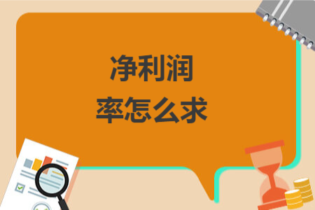 凈利潤(rùn)率怎么求