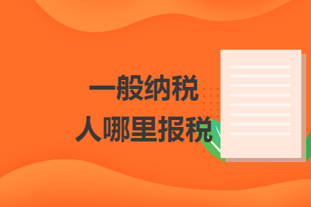 一般納稅人哪里報稅