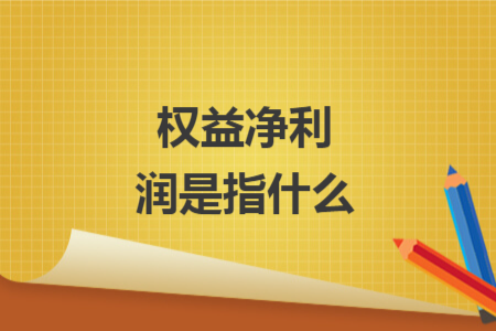 權(quán)益凈利潤是指什么