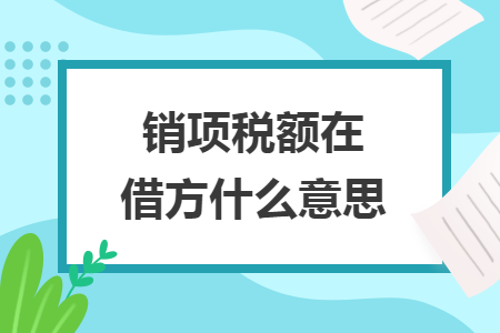 銷(xiāo)項(xiàng)稅額在借方什么意思