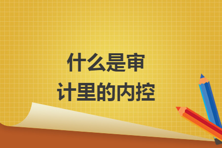什么是審計(jì)里的內(nèi)控
