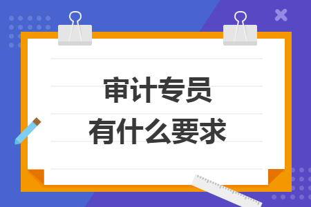 審計(jì)專員有什么要求