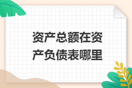 資產(chǎn)總額在資產(chǎn)負(fù)債表哪里