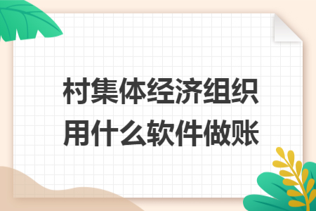 村集體經(jīng)濟組織用什么軟件做賬