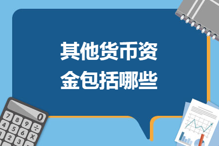 其他貨幣資金包括哪些