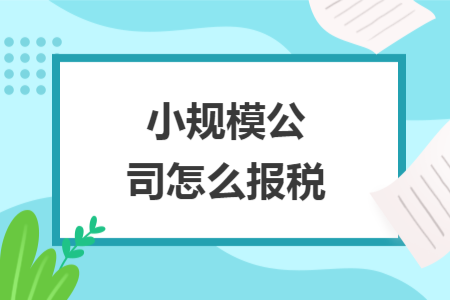 小規(guī)模公司怎么報(bào)稅