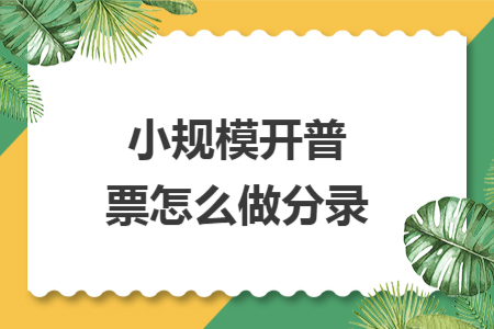 小規(guī)模開普票怎么做分錄