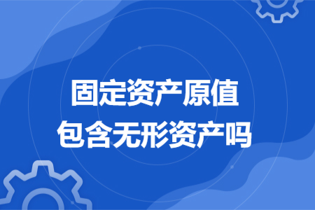 固定資產(chǎn)原值包含無形資產(chǎn)嗎