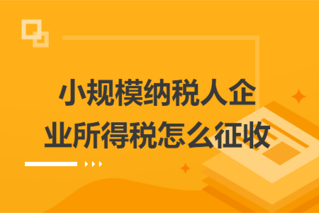 小規(guī)模納稅人企業(yè)所得稅怎么征收