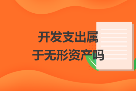 開(kāi)發(fā)支出屬于無(wú)形資產(chǎn)嗎