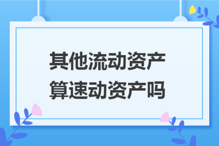 其他流動(dòng)資產(chǎn)算速動(dòng)資產(chǎn)嗎